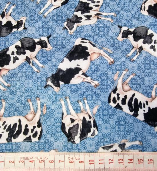 Auschnittvergrößerung